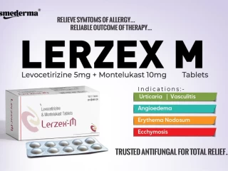 Best Pharmaceutical Third Party Manufacturing For Levocetrizine 5mg & Montelukast 10mg Tablets