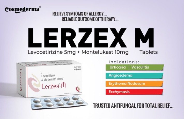 Best Pharmaceutical Third Party Manufacturing For Levocetrizine 5mg & Montelukast 10mg Tablets 1