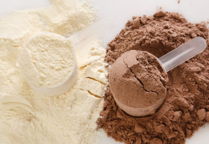 Protein Powder Franchise Business 1