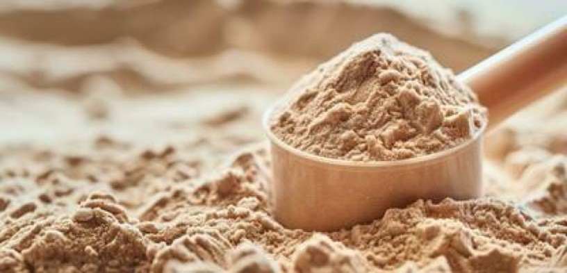 Best Protein Powder PCD Franchise 1