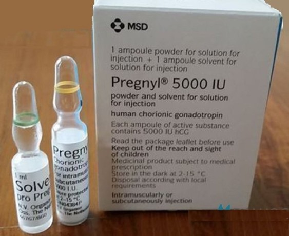 Third Party Manufacturers for Pregnyl Injection 1