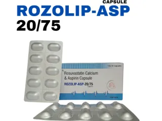 Top PG Based Franchise Pharma Company