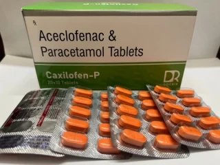 Branded Pharma Franchise Company