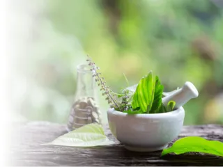 Pharma Franchise Company For Ayurvedic Products