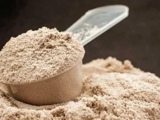 Pharma Franchise Company For Protin Powder Energy Drink Ors