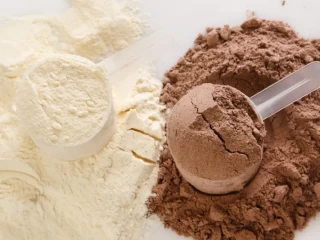 Pharma Franchise Company Protein Powder