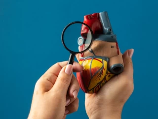Cardiac Diabetic PCD Pharma Franchise for Sure Growth