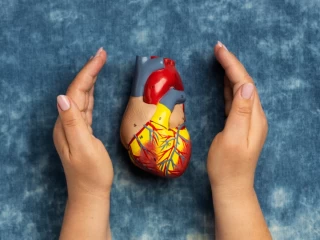 Cardiac Diabetic Franchise Company for Smart Growth