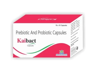 Best Medicine Capsule Manufacturing Across India