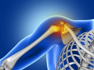 Top Ortho Products Company for Real Business