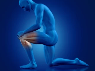 Premier Orthopedic Company for Smart Business