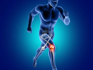 Top Ortho Companies for Reliable Partnership