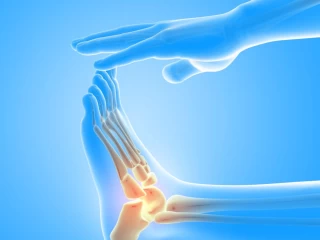 Premier Ortho Products Manufacturers in India