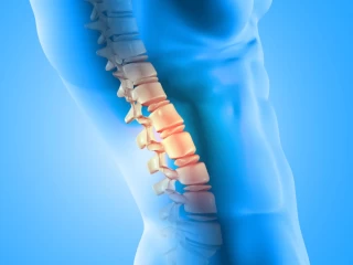 Leading Ortho Products Suppliers Across India