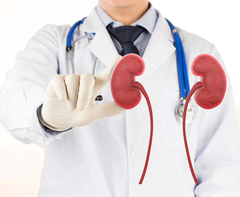 Pharma Franchise for Nephrology products