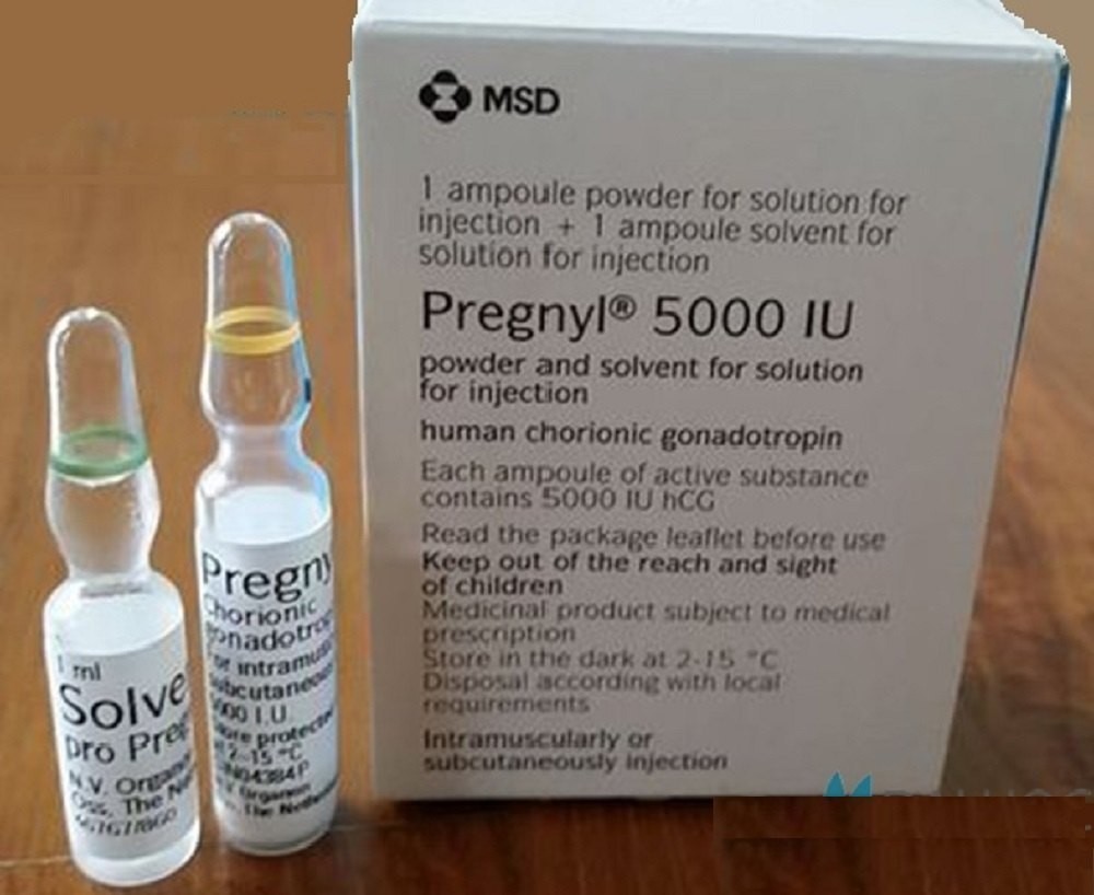 Third Party Manufacturers for Pregnyl Injection